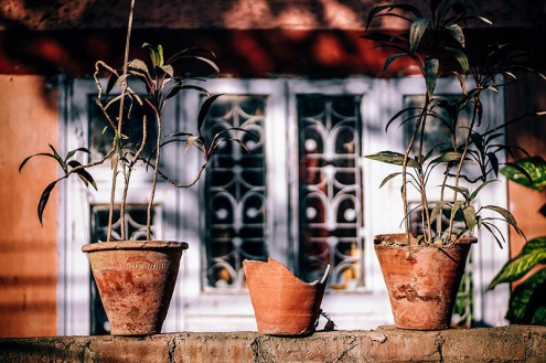 Riscos que você corre ao não fazer a manutenção de sua casa