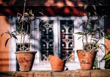 Riscos que você corre ao não fazer a manutenção de sua casa